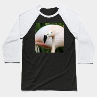 Flamingo Baseball T-Shirt